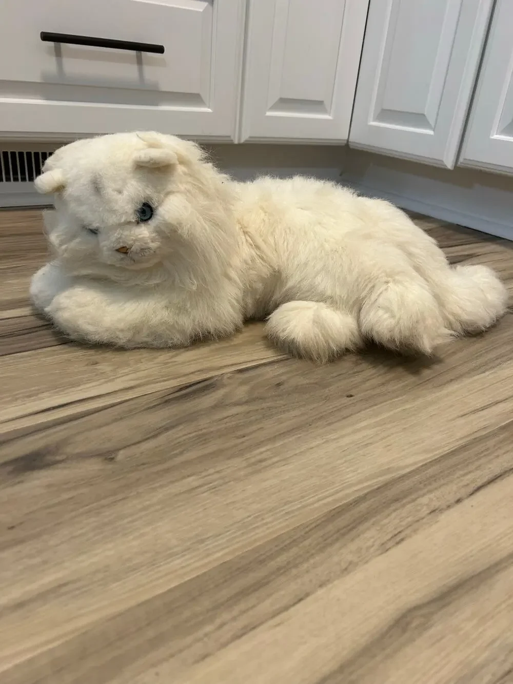 Russ White Long Hair Persian Cat Plush Blue Eyes 18